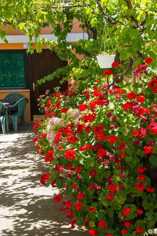 Apartments Stefanovski Paradiso Veli Lošinj Pokój zdjęcie